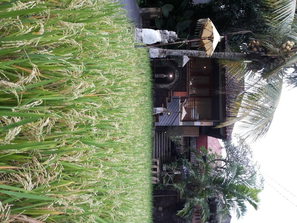 Bali Putra Villa Ubud  Luaran gambar